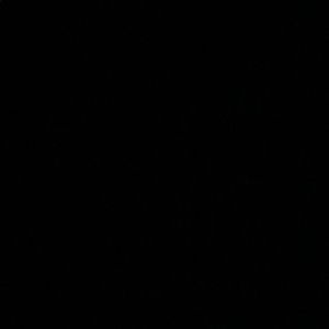 Meet your Posher, Mitchell